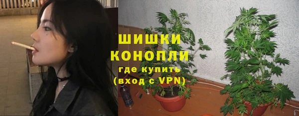 бошки Покачи