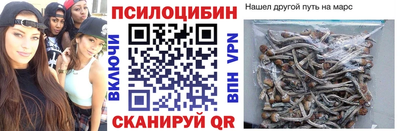 мега как войти  Агрыз  Псилоцибиновые грибы прущие грибы 