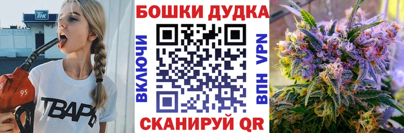продажа наркотиков  Агрыз  Бошки марихуана сатива 